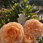Διαμέρισμα La Piu' Bella *