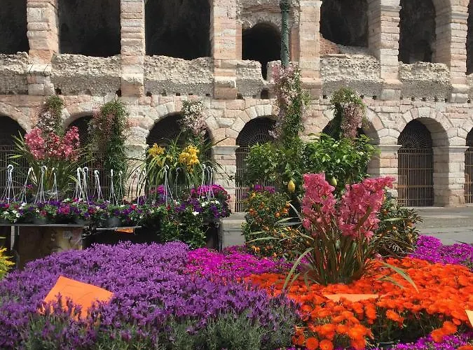 La Piu' Bella * 维罗纳