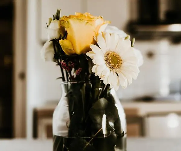 La Piu' Bella 公寓 *